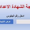 نتيجة الصف الثالث الإعدادي بالمنيا 