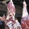 اسعار اللحوم اليوم 