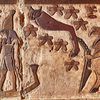  معبد إسنا بالأقصر 