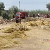 شونة كتان سمنود