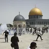 القدس 