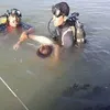 الانقاذ النهري