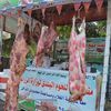 منافذ وزارة الزراعة للحوم الأضاحي