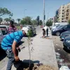 زراعة أشجار ضمن مبادرة 100 مليون شجرة