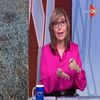 لميس الحديدي