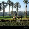 درجة الحرارة بالفيوم 