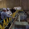  الخط الرابع لمترو الأنفاق