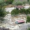 فيضانات تركيا