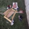 مرتضى منصور 