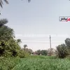 طقس الأقصر اليوم 