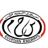 السكة الحديد 