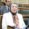   احسان شوقي عضو مجلس النواب
