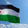  القضية الفلسطينية