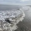 ارتفاع الامواج على الشواطئ 