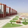 تطوير العشوائيات