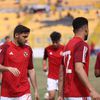 كريم نيدفيد 