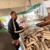 أزمة الأسماك في بورسعيد