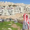 بناء مستوطنات جديدة 
