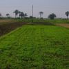 الاراضي الزراعية المصرية