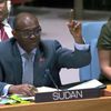 سفير السودان 