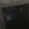 ارشيفية