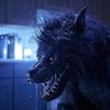  فيلم Werewolves