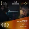 مهرجان القاهرة السينمائي 