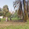 جانب من الحريق 
