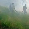 الحريق 