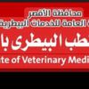 الطب البيطرى بالأقصر