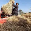 أرشيفية 