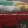 البحيرة
