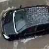 جانب من الامطار