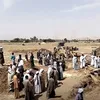 جانب من البحث