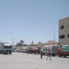 جانب من توريد محصول القمح 