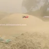 حصاد محصول القمح بكفر الشيخ 