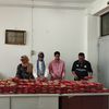 حملات قوية من تموين الإسماعيلية 