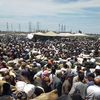 سوق الماشية بكفر الشيخ 