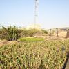 وزير الإسكان 