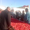 المشروعات 