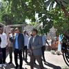 الفاعلية 