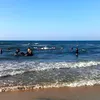مصيف بلطيم. أرشيفية