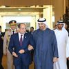 السيسي ومحمد بن زايد