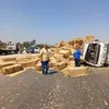المنوفية