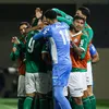 بالميراس البرازيلي 