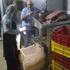 ضبط لحوم فاسدة