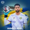 أحمد عادل عبد المنعم 