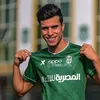 فوزي الحناوي 