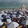 إقبال كثيف على شواطئ الإسكندرية