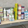 الضبطيات